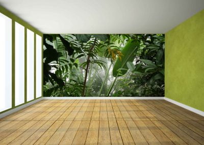 wallart.ie | forest and jungle wall murals