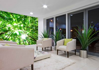wallart.ie | forest and jungle wall murals