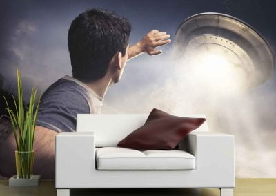 wallart.ie | action and sci-fi wall murals