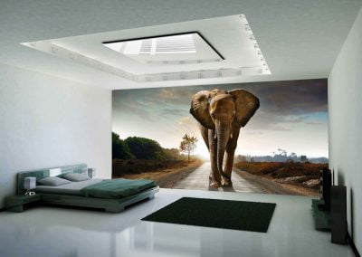 wallart.ie | animal wall murals