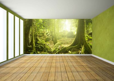wallart.ie | landscape wall murals