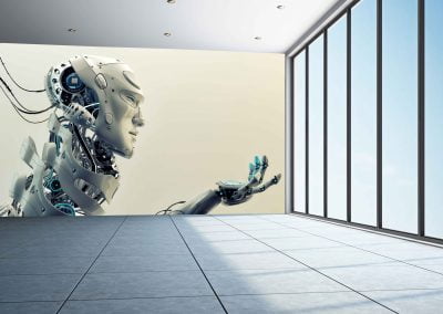 wallart.ie | action and sci-fi wall murals