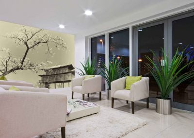 wallart.ie | destinations wall murals