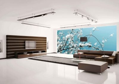 wallart.ie | flower wall murals