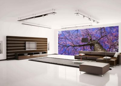 wallart.ie | flower wall murals