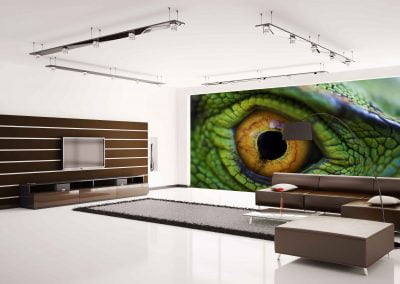 wallart.ie | animal wall murals