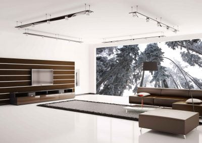 wallart.ie | forest and jungle wall murals