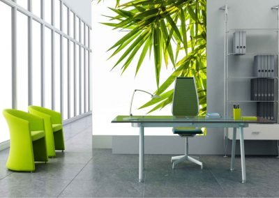 wallart.ie | forest and jungle wall murals