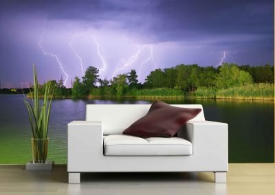 wallart.ie | lightning wall murals