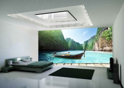 wallart.ie | exotic wall murals